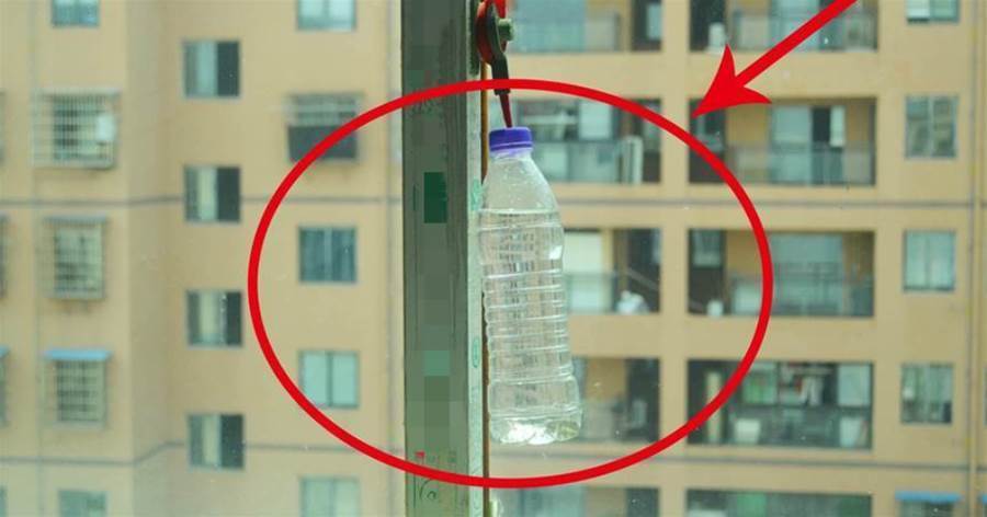 寶特瓶不要扔，裝點「水」掛在窗戶邊，作用真厲害，後悔沒有早點知道