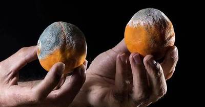 爛了的橘子千萬別扔，留在家裡特別值錢，要是早點知道就好了，早學會不吃虧