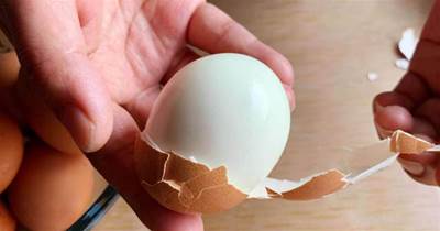 煮雞蛋時，不能只放清水！教你飯店做法，蛋殼一碰就掉，口感嫩營養高