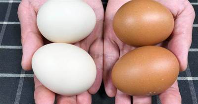 買雞蛋時，挑紅殼的還是白殼的好？售貨員不小心說漏嘴，別買錯了