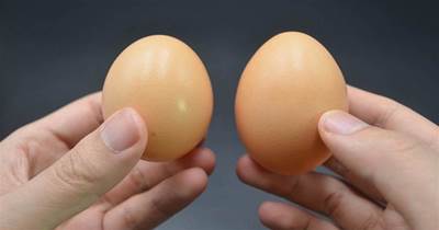 雞蛋是挑大的好還是小的好？養殖戶不小心說漏嘴，以後別買錯了