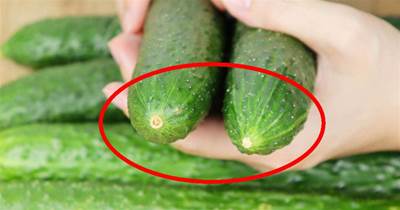 「激素」黃瓜不要買，菜農：認準這5點，一眼辨就能辨出，再便宜也不要