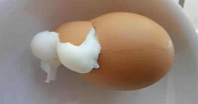 煮雞蛋總是開裂？教你一招「雞蛋不開裂還自動脫殼」好吃又好剝