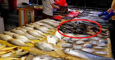 菜市場裡常見的4種魚，很多人都愛吃，水產老闆：自己很少吃