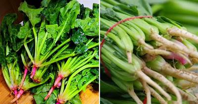 買菠菜，要分清「紅根」和「白根」，差別挺大，買錯澀口又難吃