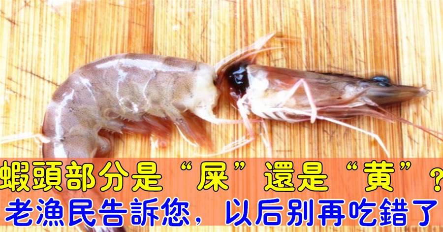 蝦頭部分是「屎」還是「黃」？老漁民告訴您，以後別吃錯蝦頭了