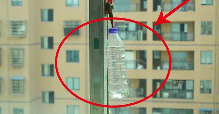 寶特瓶不要扔，裝點「水」掛在窗戶邊，作用真厲害，後悔沒有早知道