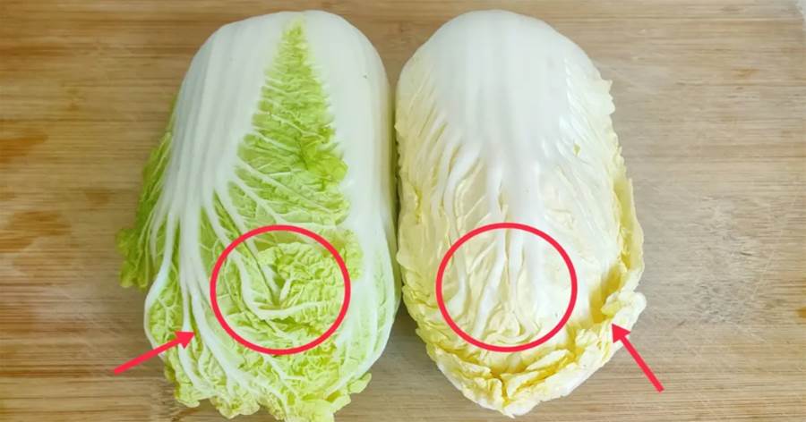 「白色」和「綠色」白菜區別有多大？菜販子無意說漏嘴，漲知識了