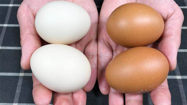 買雞蛋時，挑紅殼的還是白殼的好？售貨員不小心說漏嘴，別再買錯了