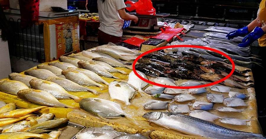 菜市場裡常見的4種魚，很多人都愛吃，水產老闆：自己很少吃