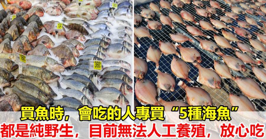 買魚時，內行人專買這5種魚，肉嫩刺少營養高，老漁民自己都愛吃