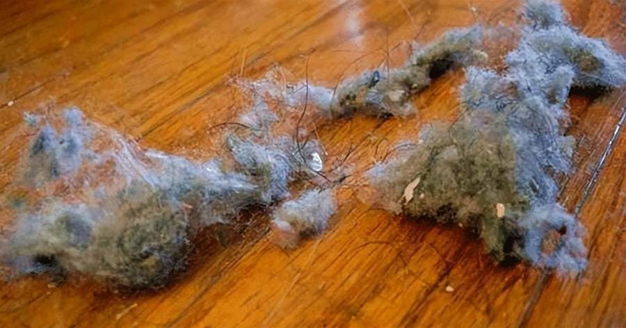 家里天天打掃衛生，為什麼還有很多灰塵毛毛？老保姆支了個招，毛絮自動消失，很實用