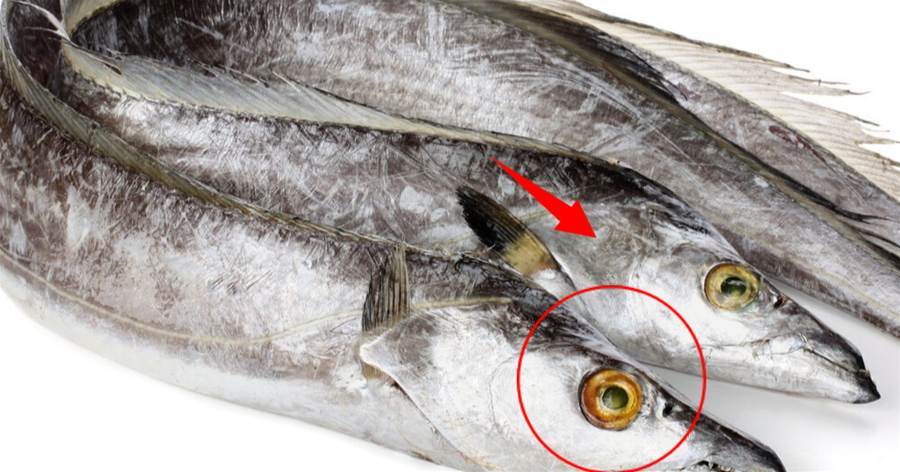 買帶魚，要分清「黃眼」和「黑眼」，差距太大了，弄懂再買不吃虧