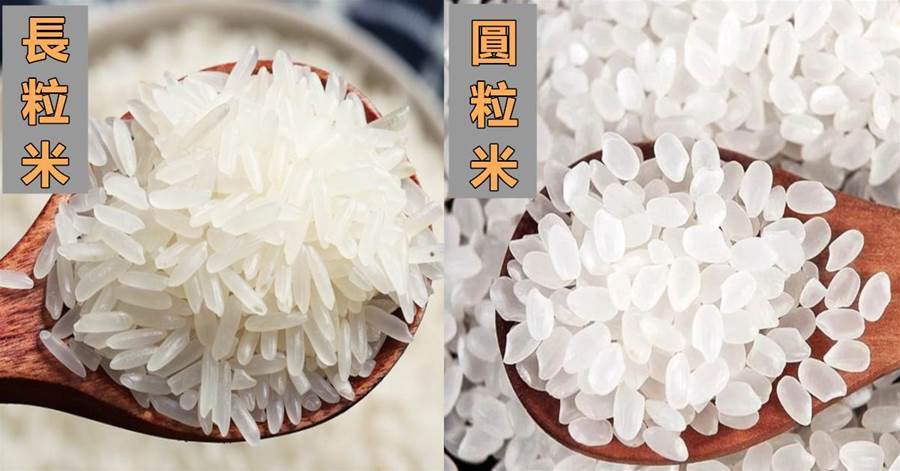 買大米時，「長粒米」和「圓粒米」區別很大，學會再買不吃虧