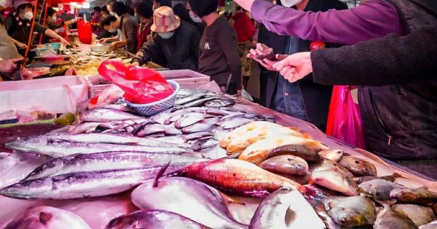 市場上遇到這4種魚別手軟，無法人工養殖，都是野生魚，肉嫩刺少，別不懂吃