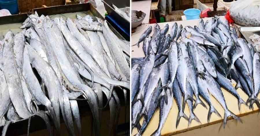 囤年貨：如果不差錢，這4種魚多囤點，刺少肉多營養高，腥味還輕