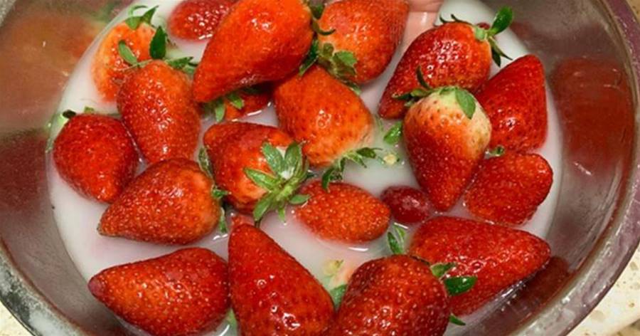 清洗草莓時，有人加鹽有人加麵粉，都不！教你正確做法，農藥蟲卵全出來，洗得乾淨不破皮