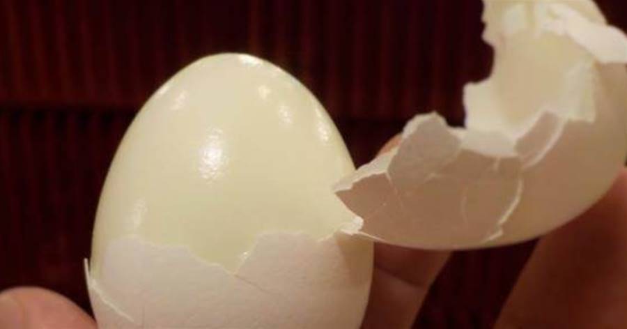 煮雞蛋，開水、涼水下鍋都不對！牢記這5點，輕輕一碰就脫殼