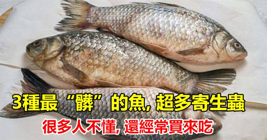 這3種魚寄生蟲太多，水產商自己都不吃，很多人不知道，還經常買來吃