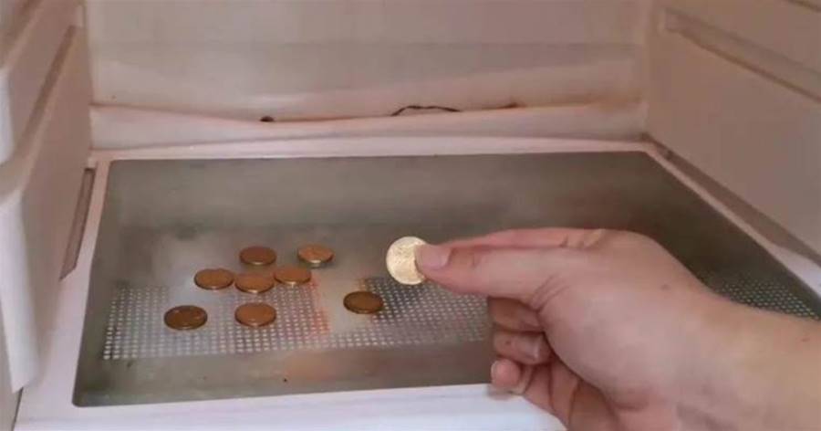 出遠門的時候，切記在冰箱里面放一枚硬幣，不是迷信，有科學依據