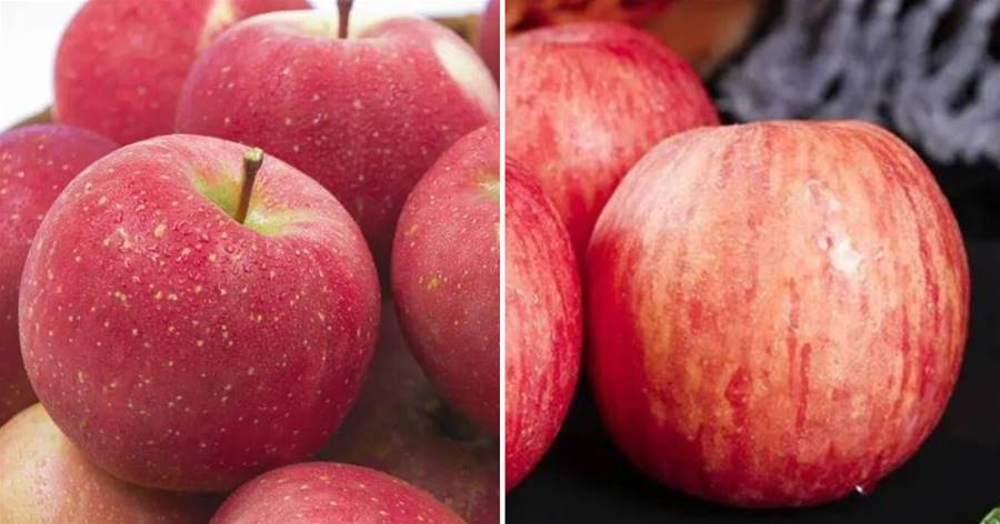 買紅富士蘋果，要分清「條紅」和「片紅」！口感差別大，別買錯了